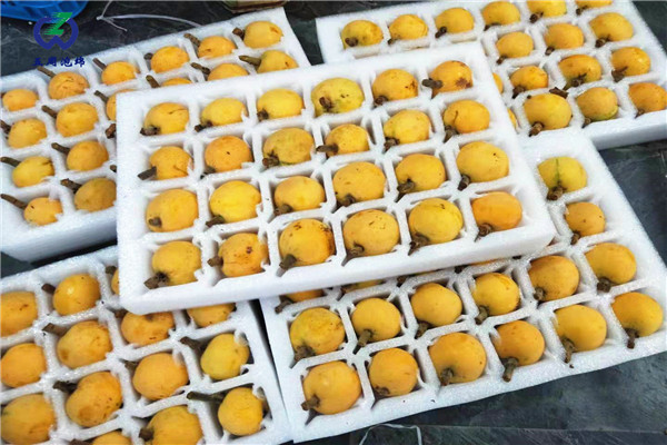 定做枇杷托的材料是環(huán)保的嗎？