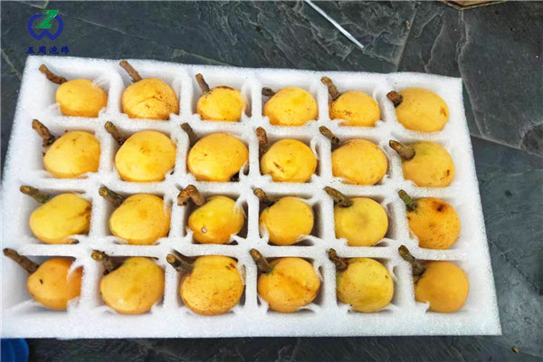 枇杷內(nèi)托的制作材料對人體有害嗎？